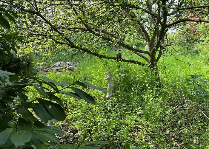 The Hobbit House And Secret Garden